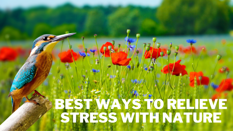 Best Ways To Relieve Stress With Nature