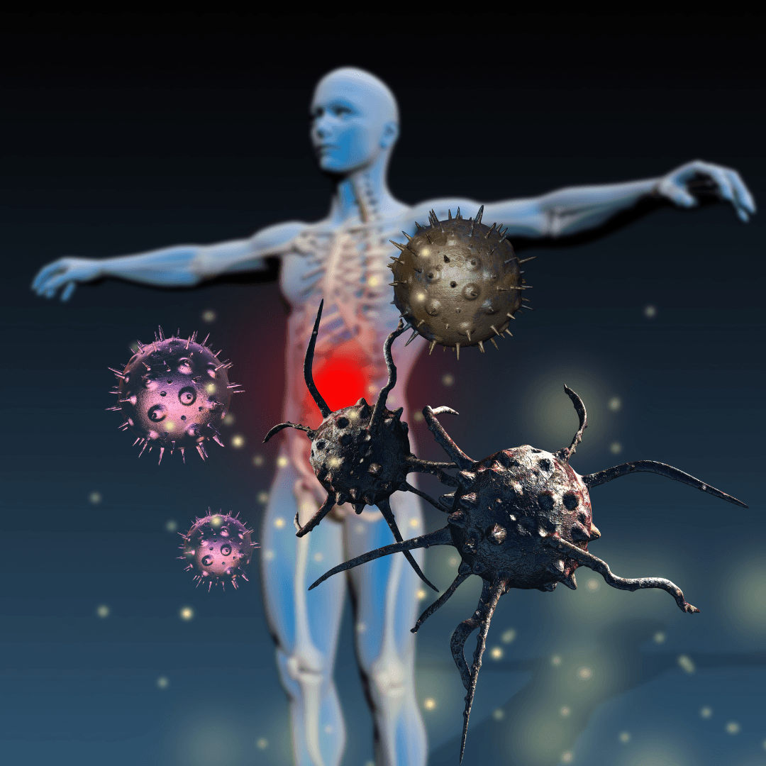 Immune System Suppression