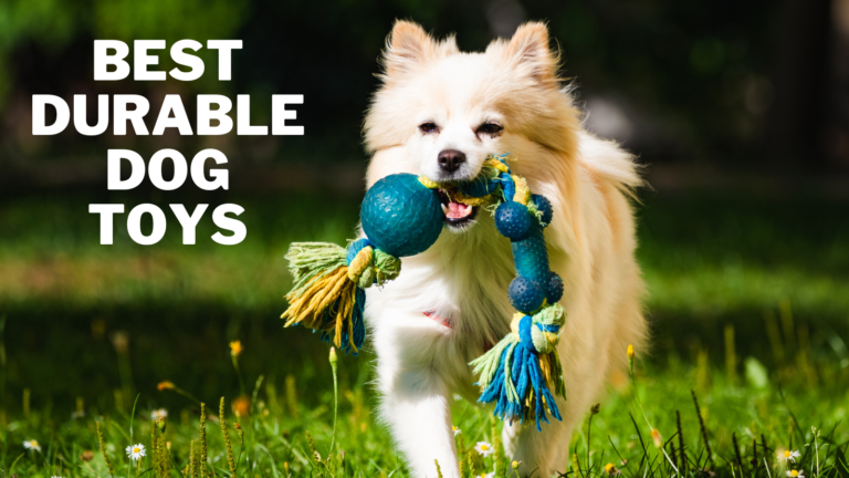 Best Durable Dog Toys For Keeping Your Pet Happy
