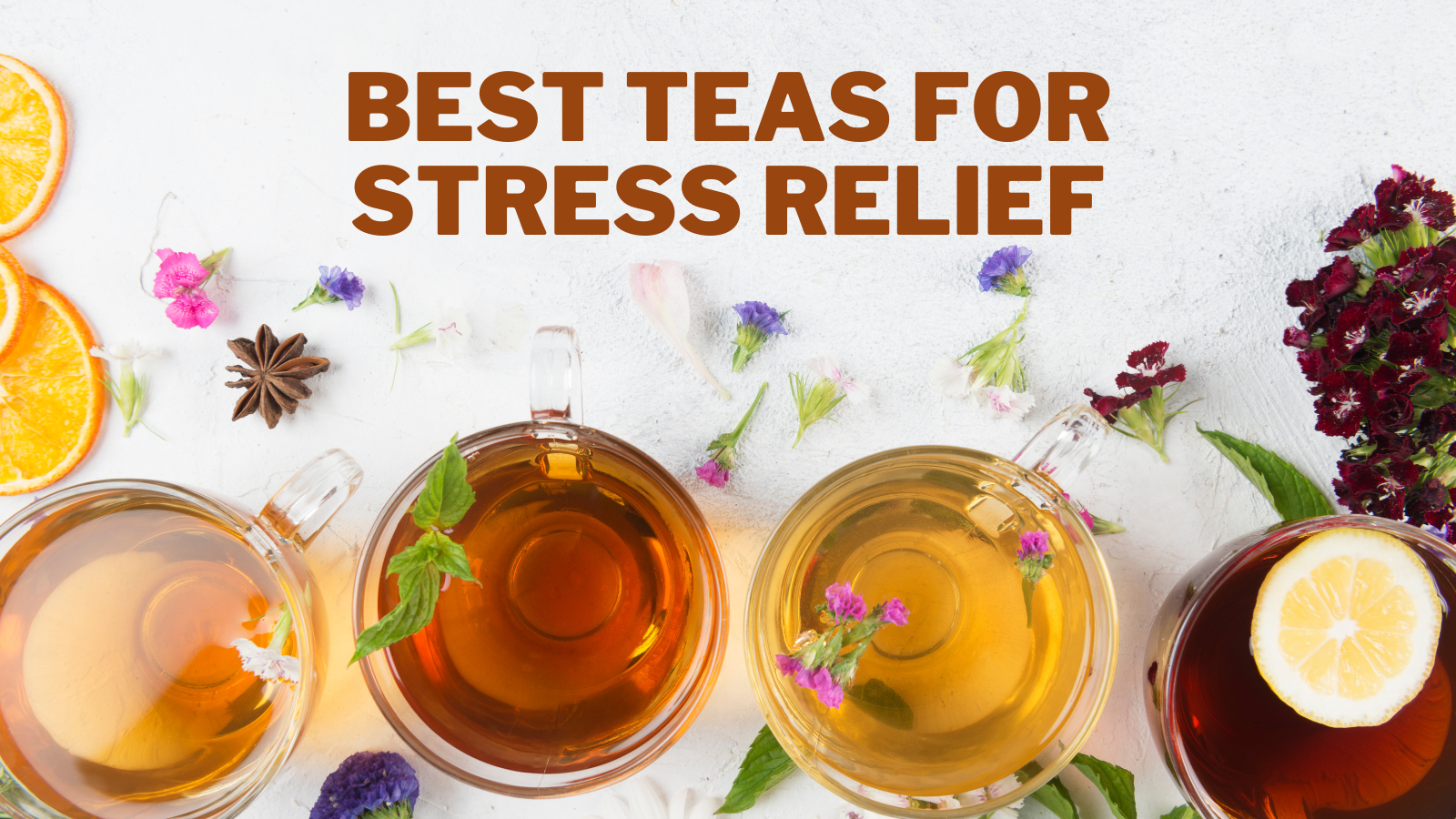 Best Teas For Stress Relief