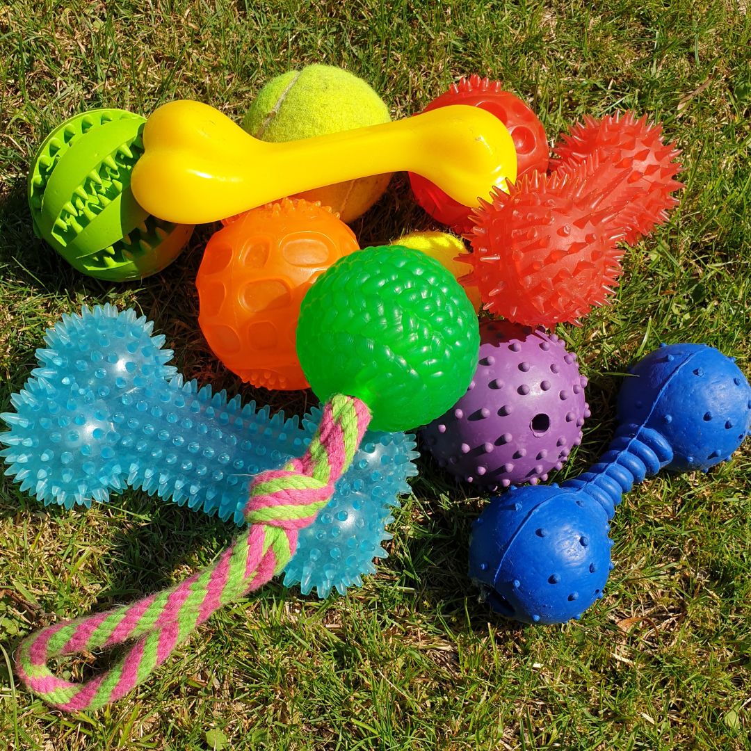 Benefits Of Durable Dog Toys