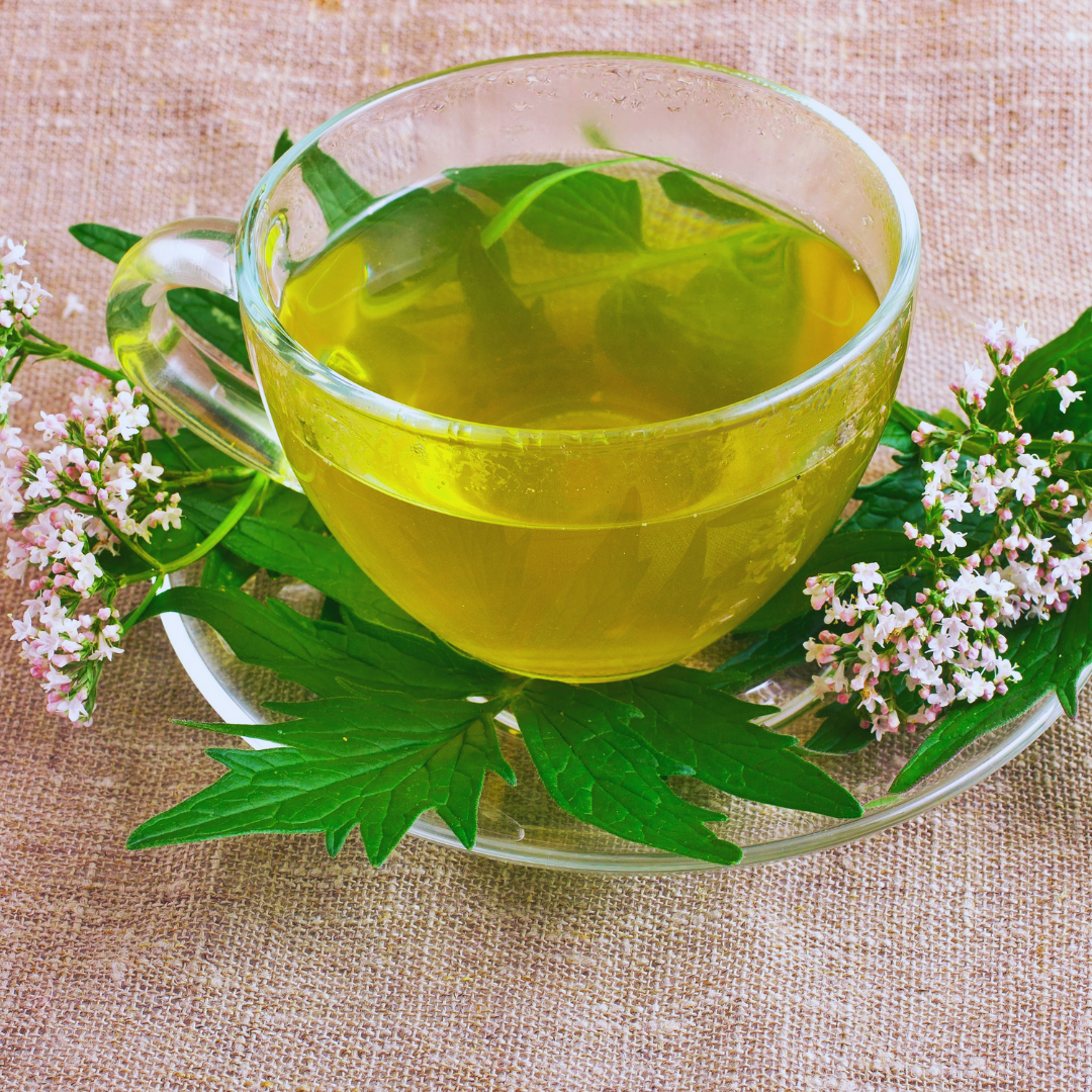 Valerian Root Tea