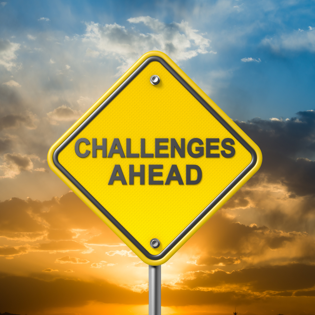 Challenge Avoidance Behaviours