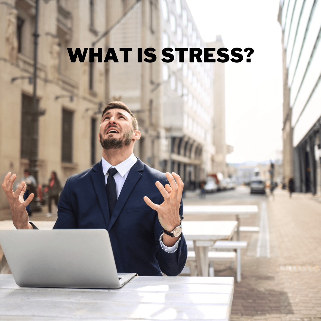 What Is Stress?