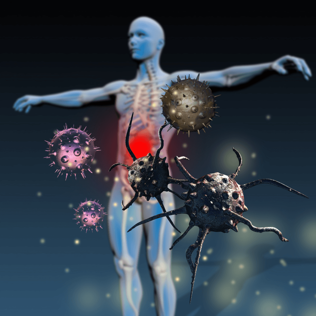 Immune System Dysfunction