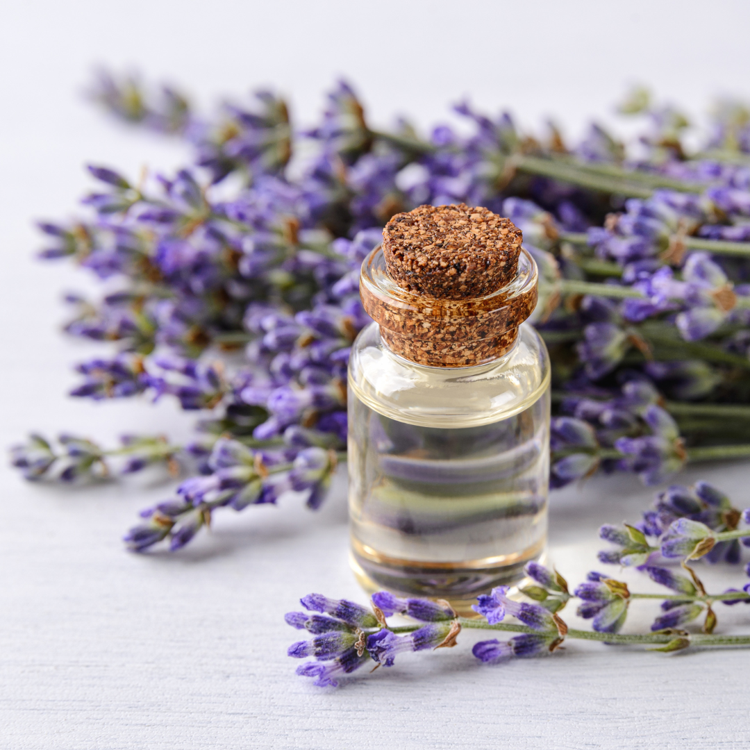 Lavender Essential Oil