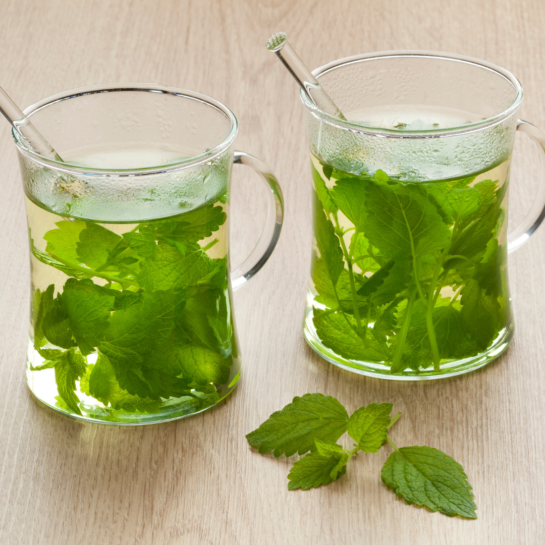 Lemon Balm Tea