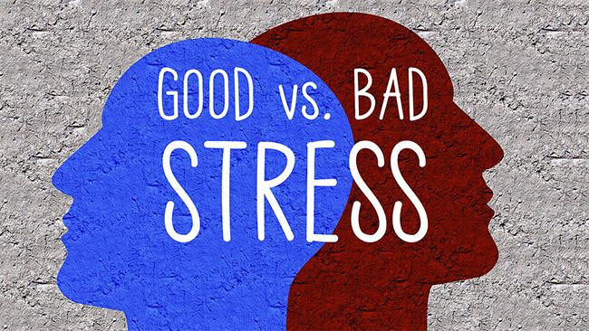 Good Stress vs Bad Stress