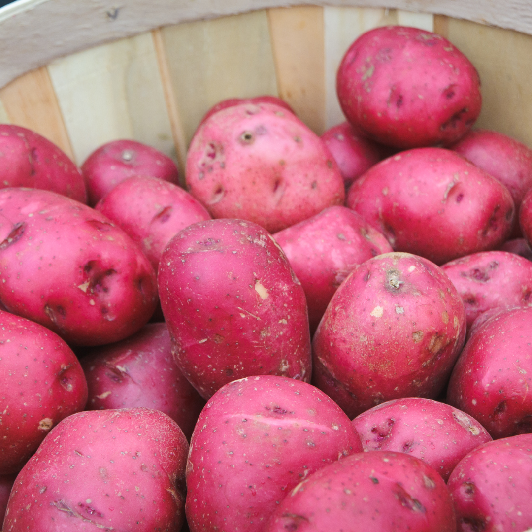 Red Potatoes