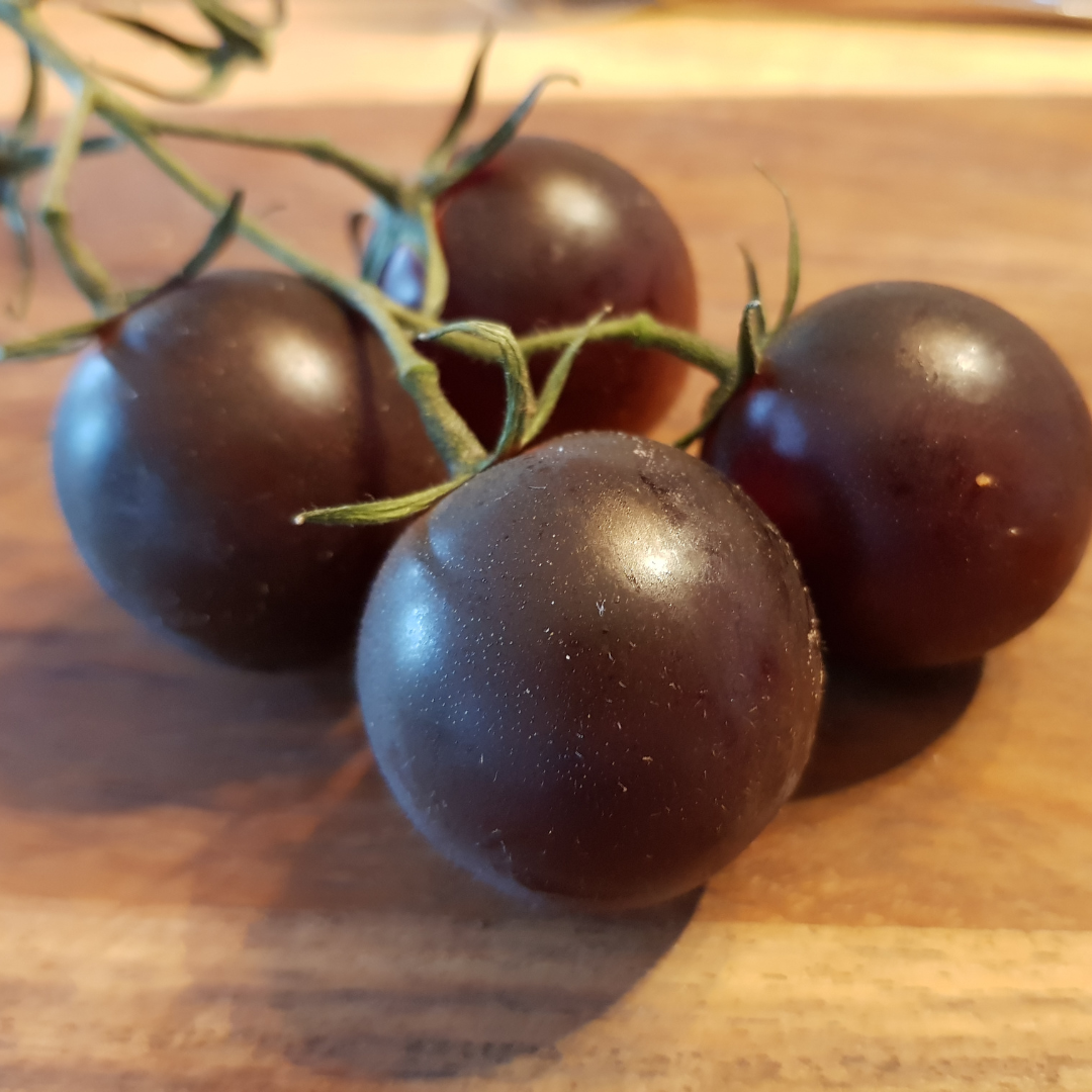 Black Krim