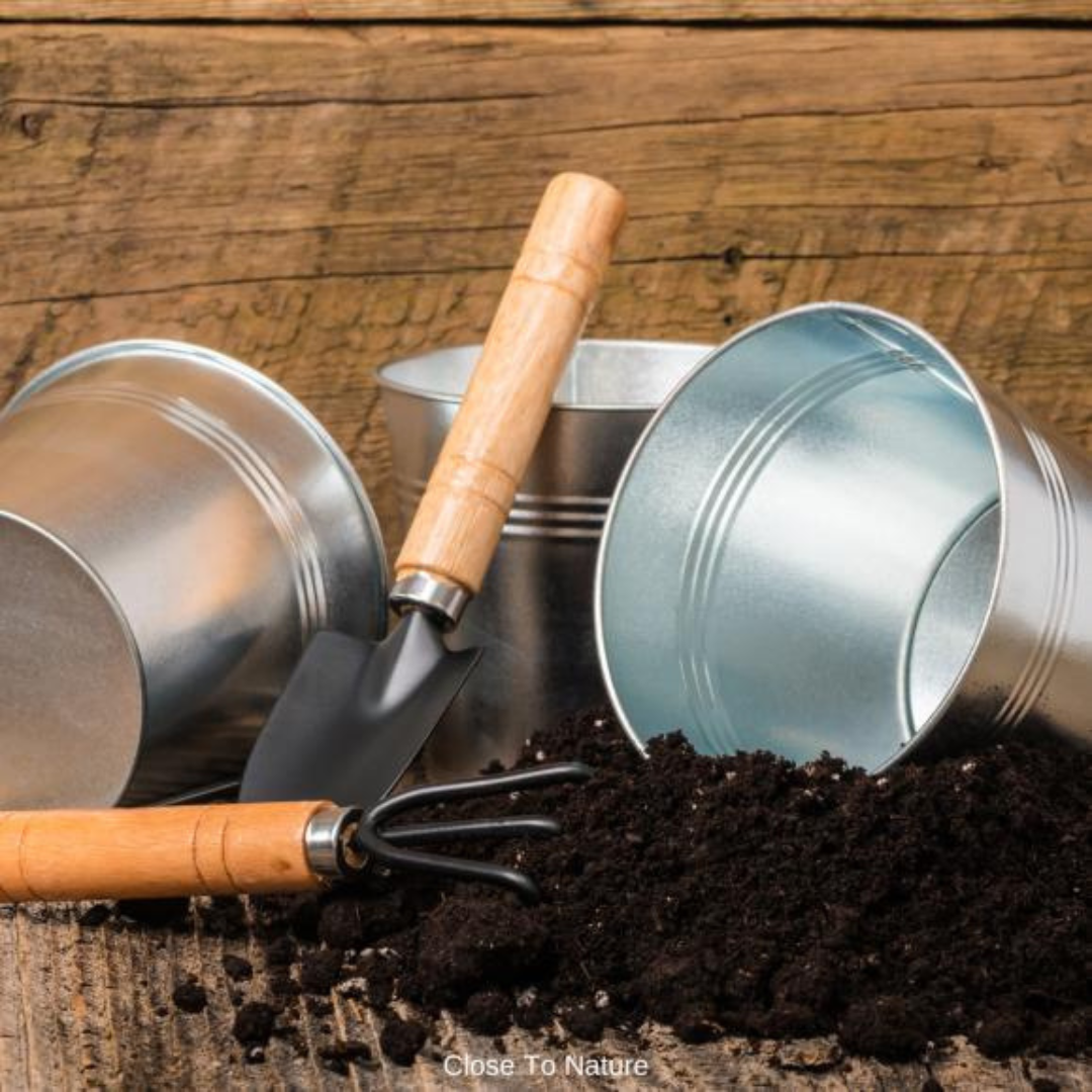 Choose A Good Potting Soil