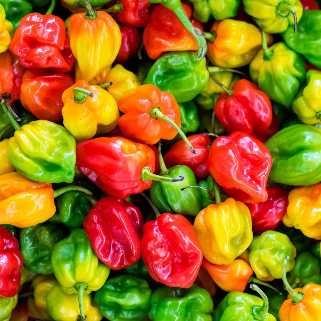 History & Origin Of Peppers