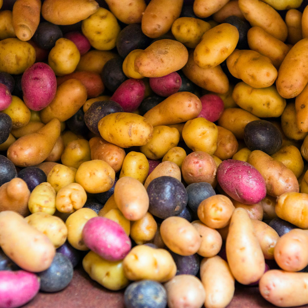 History & Origin Of Potatoes