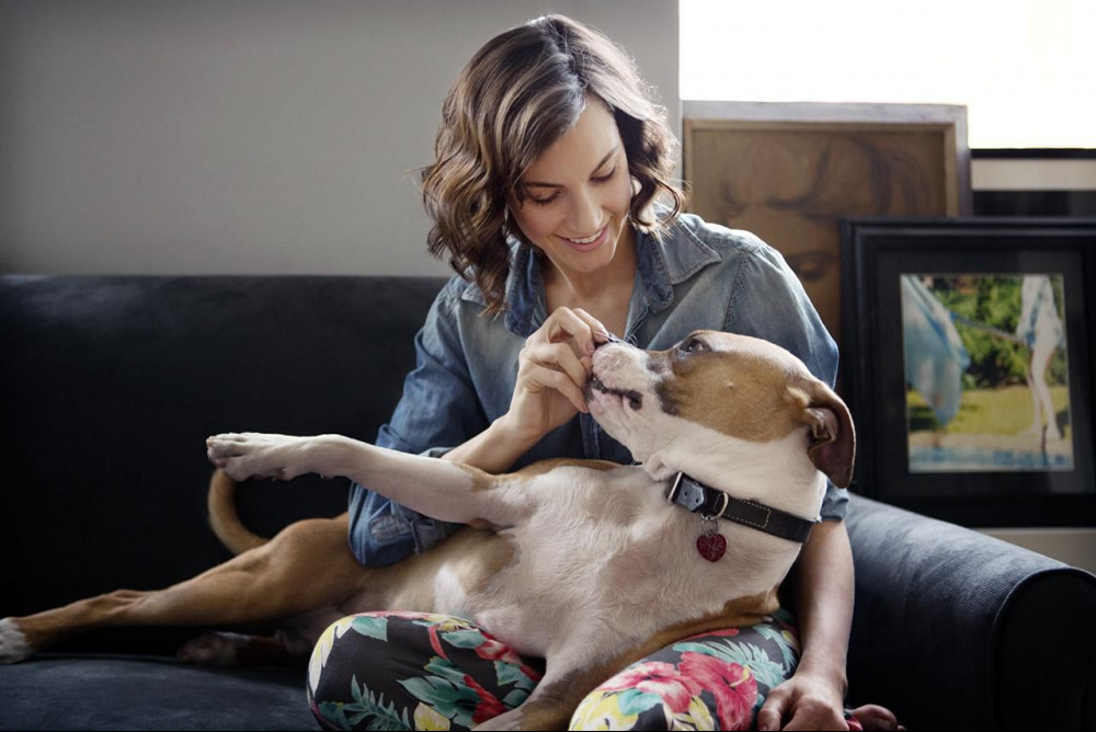Why Is My Dog Stressed And How To Relieve It