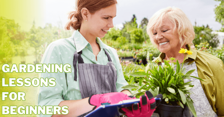 Best Gardening Lessons For Beginners