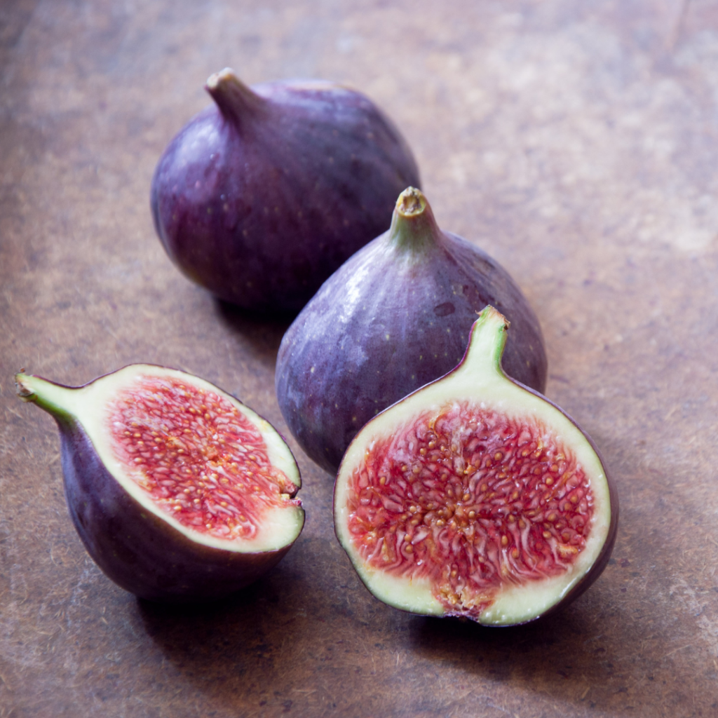 9 Tips To Growing Fig Trees In Containers | Close To Nature