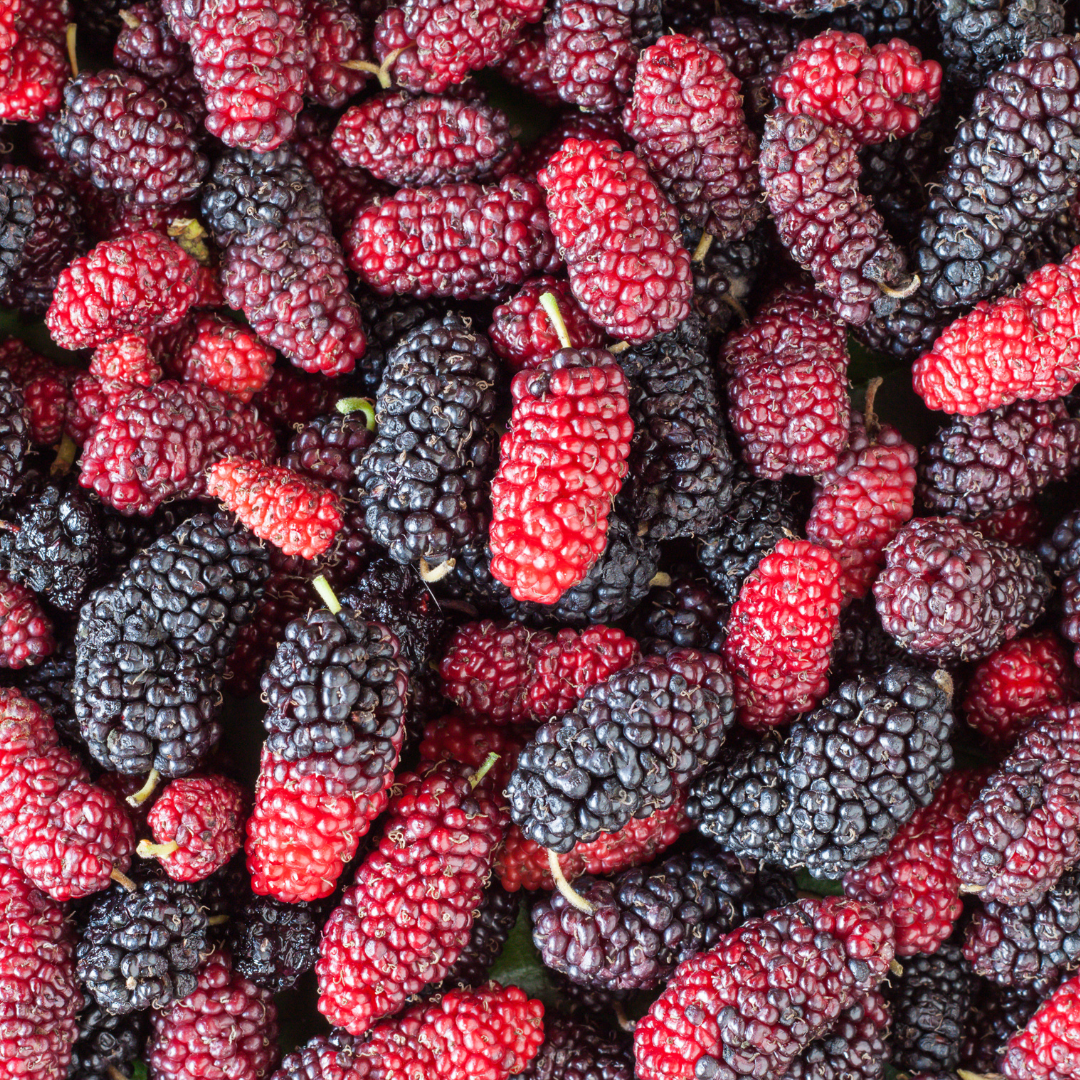 Nutrition Facts About Mulberries