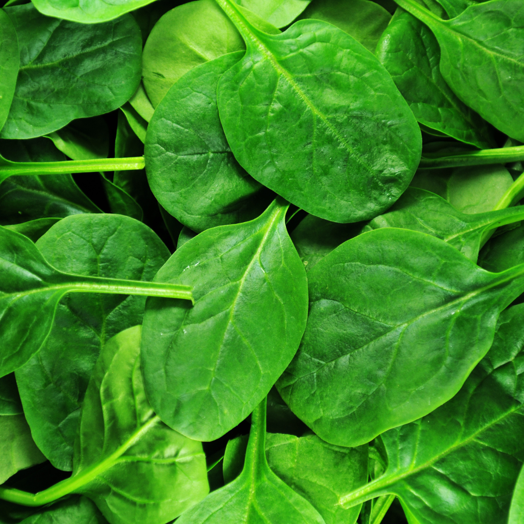 History Of Spinach