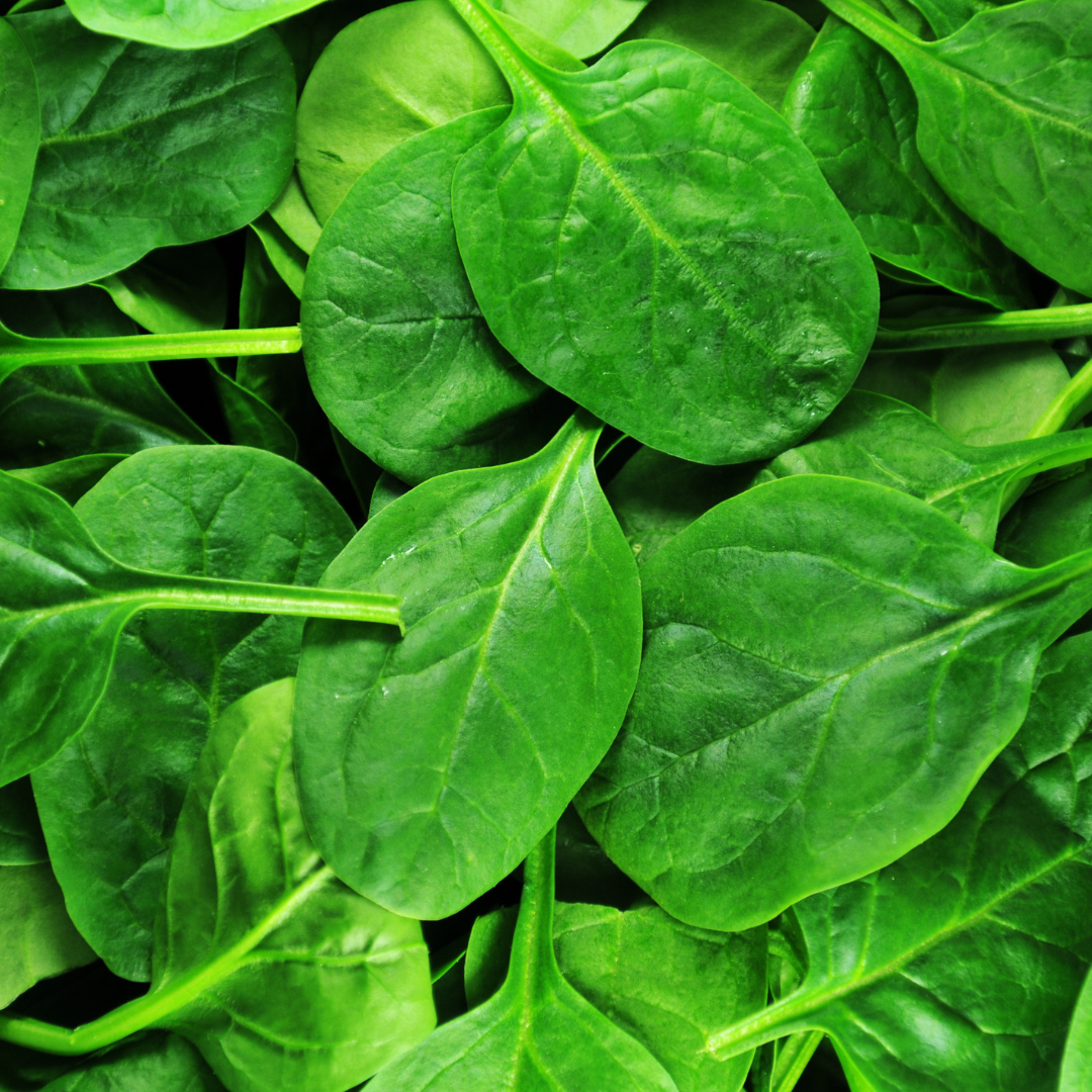 History & Origin Of Spinach