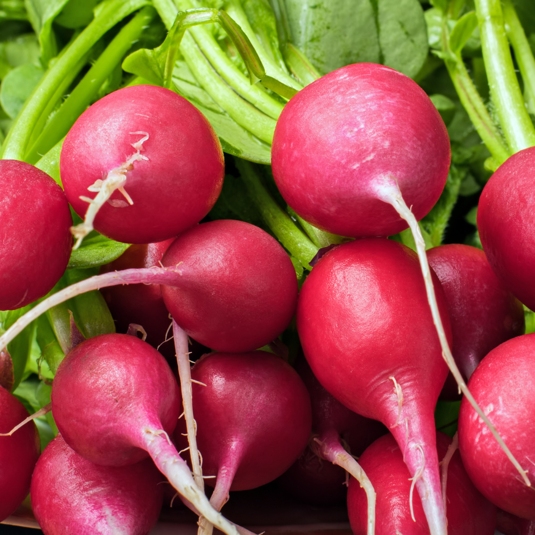 Nutrition Facts Of Radishes