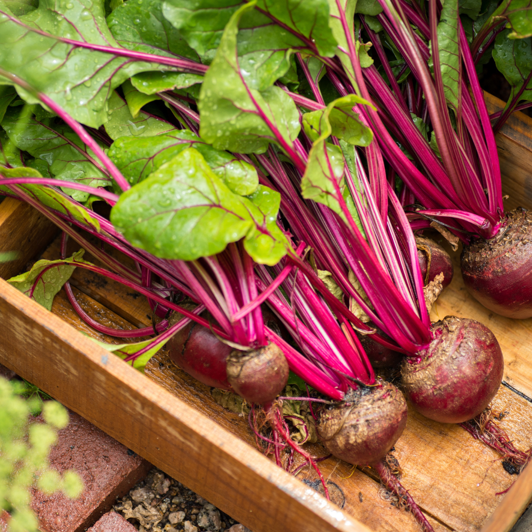 Sweetheart Beets