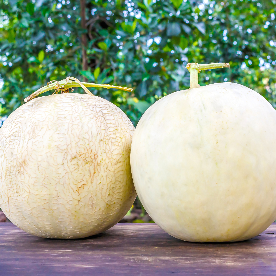 Types Of Cantaloupes