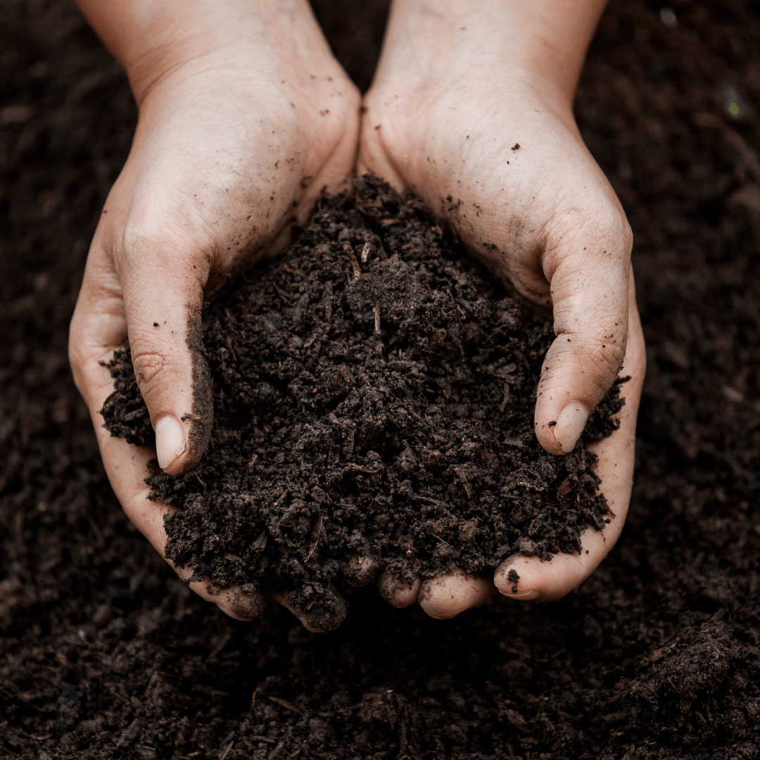 Understanding Soil