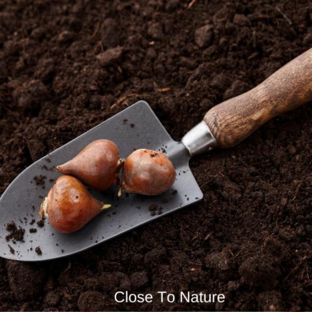 Perfect Soil