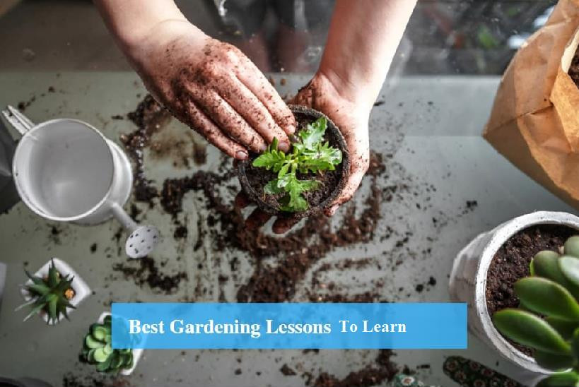 Best Gardening Lessons To Learn