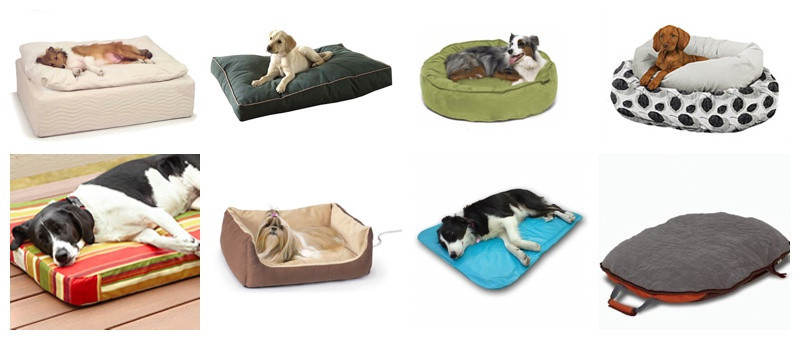 26 Best Non-Toxic Dog Beds