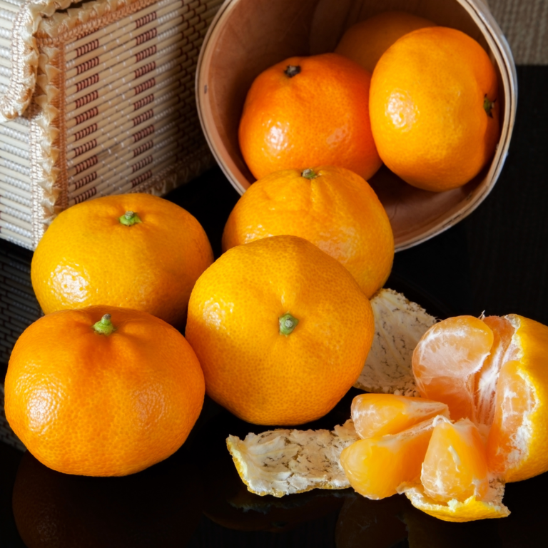 Easy Steps Of Growing Tangerines In Pots In 2024