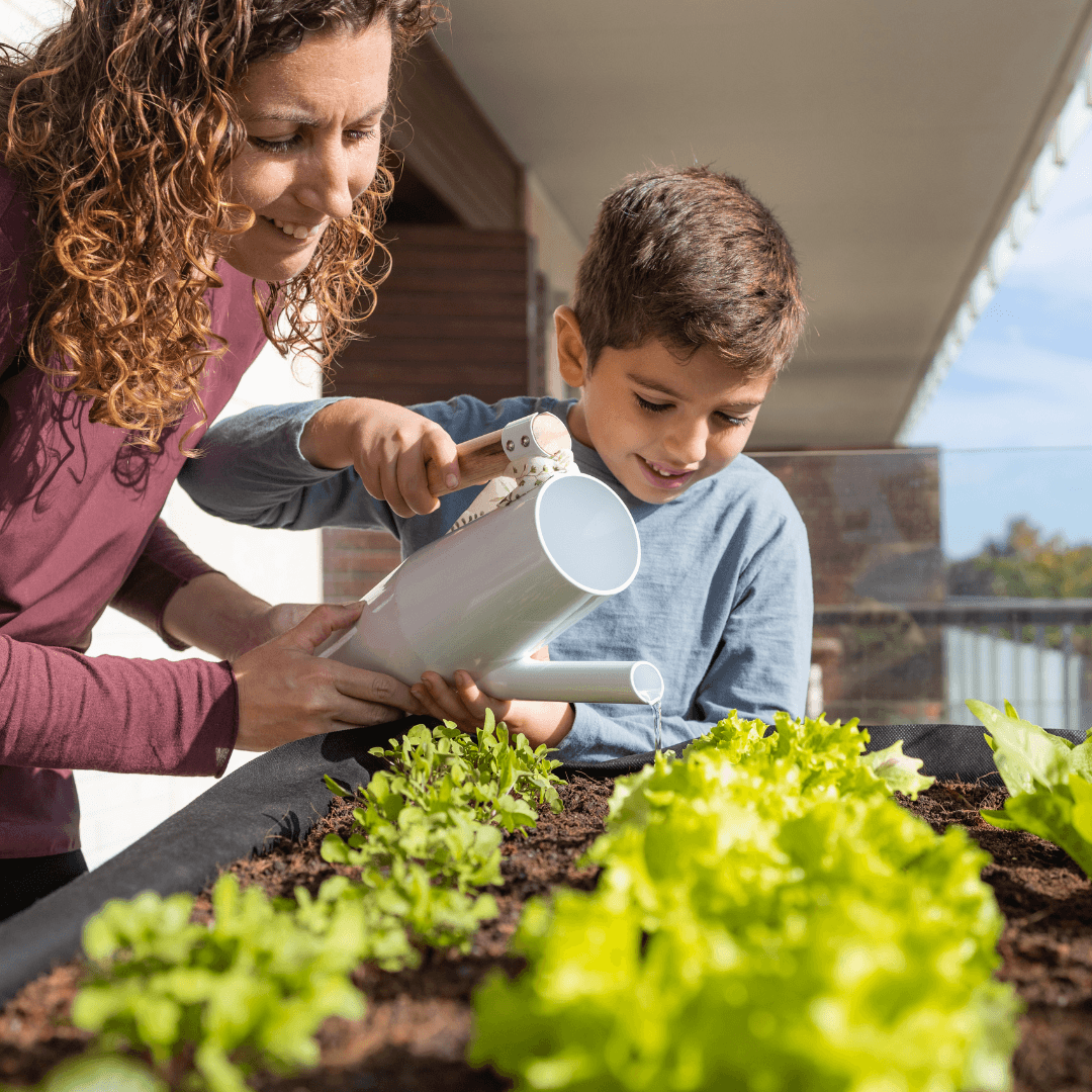Exploring Gardening Tips For Balconies
