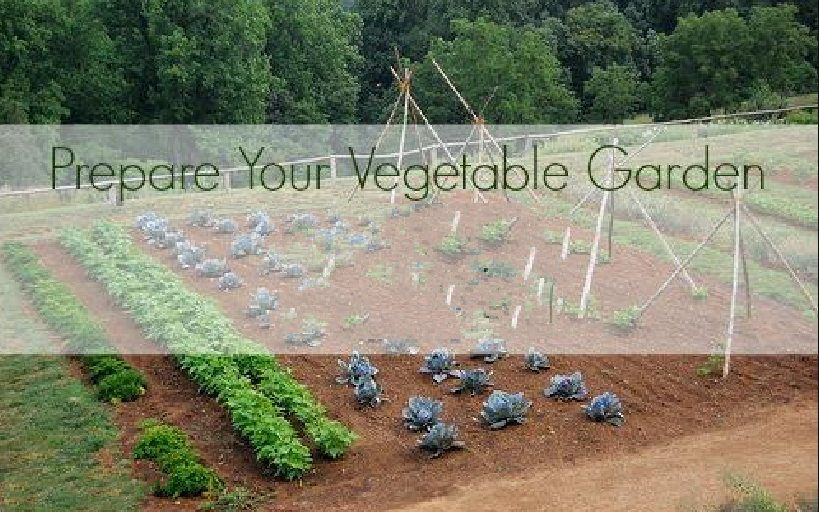How To Prepare To Plant A Vegetable Garden