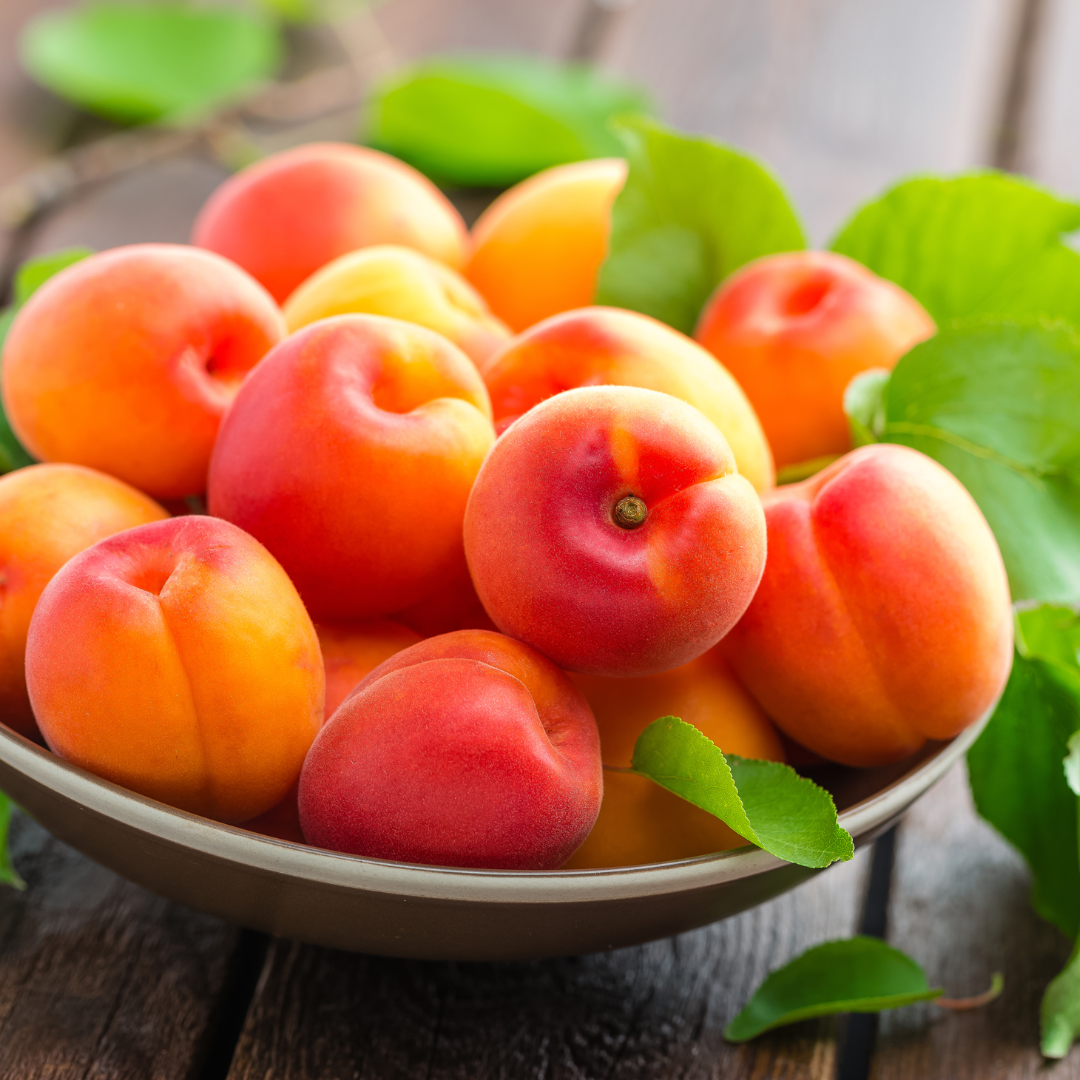 History Of Apricots