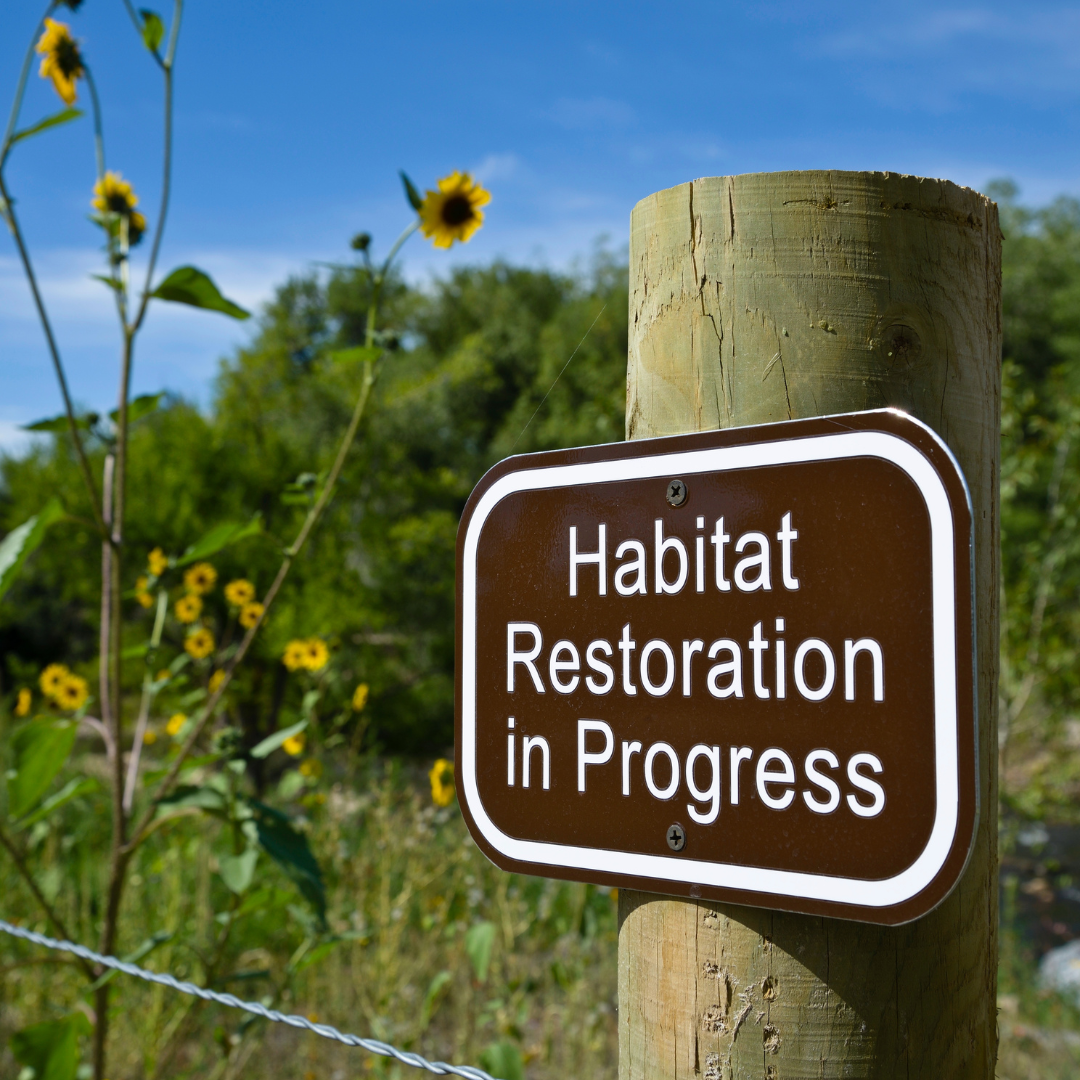 Habitat Restoration