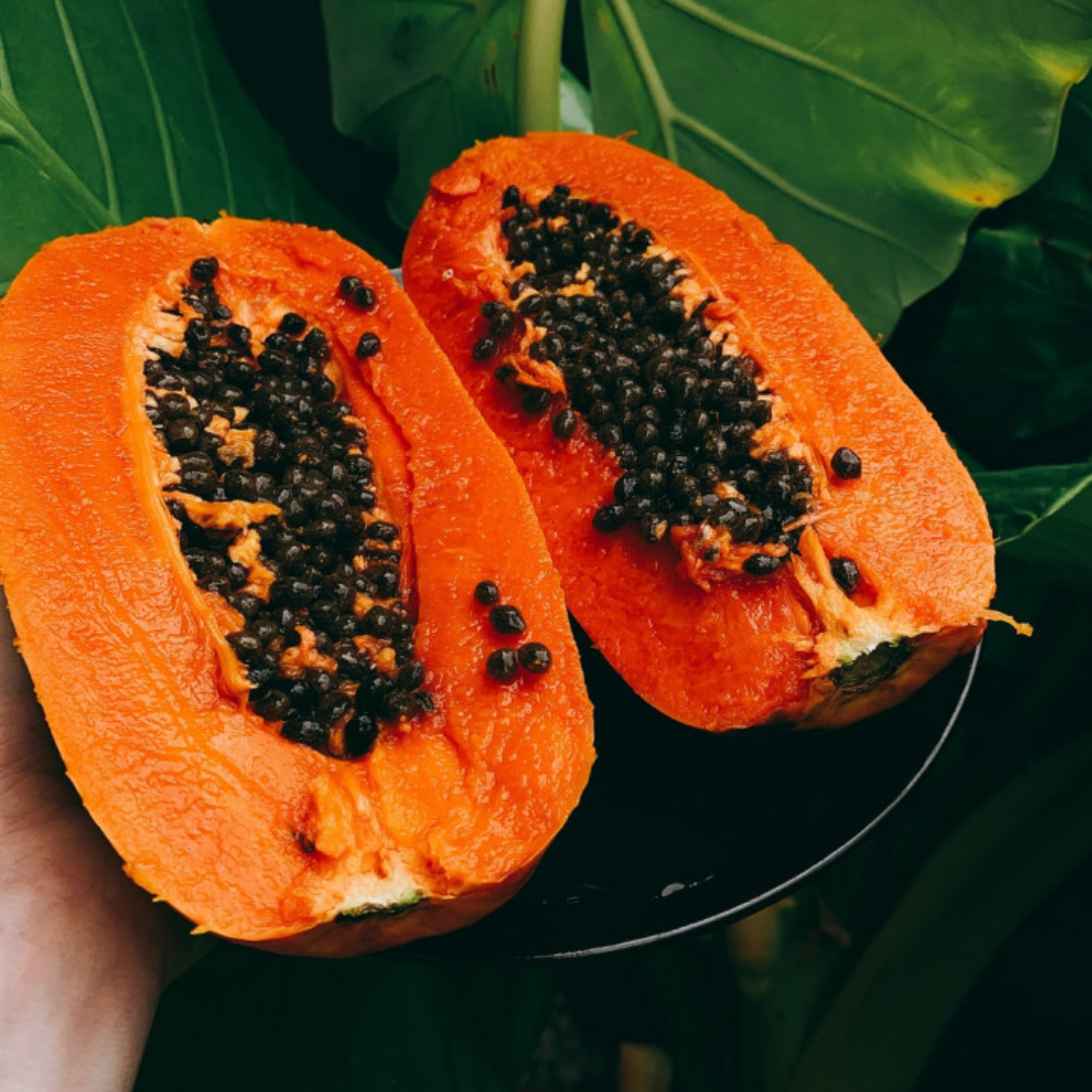 Conclusion To The Easy Steps To Grow Papaya In Pots
