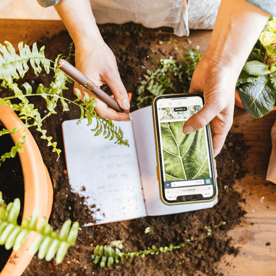 Track Planting And Harvesting In Your Gardening Journal