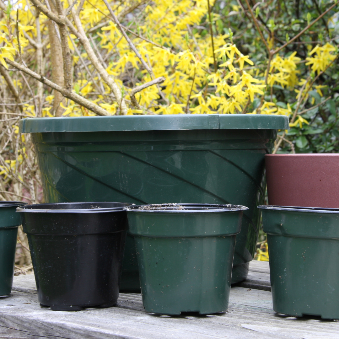 Plastic Pots