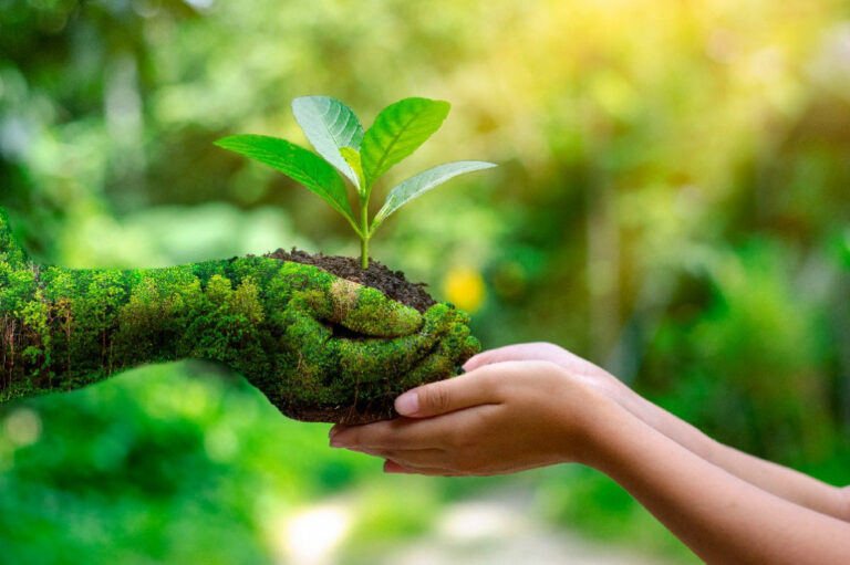 Best Tips To Help Your Family Connect With Nature