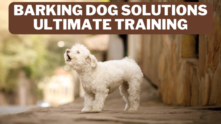 Barking Dog Solutions – Ultimate Training