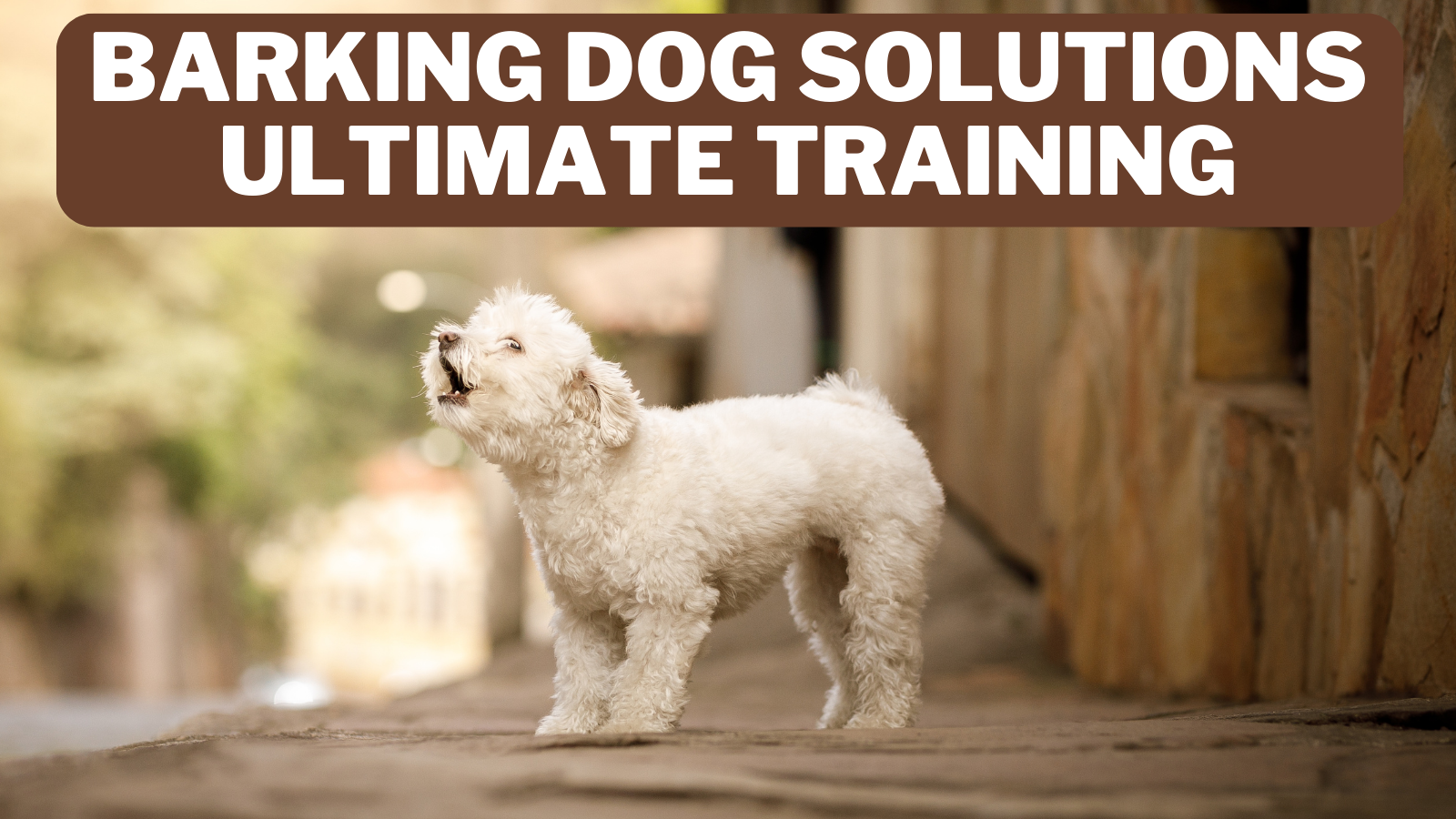 Barking Dog Solutions - Ultimate Training