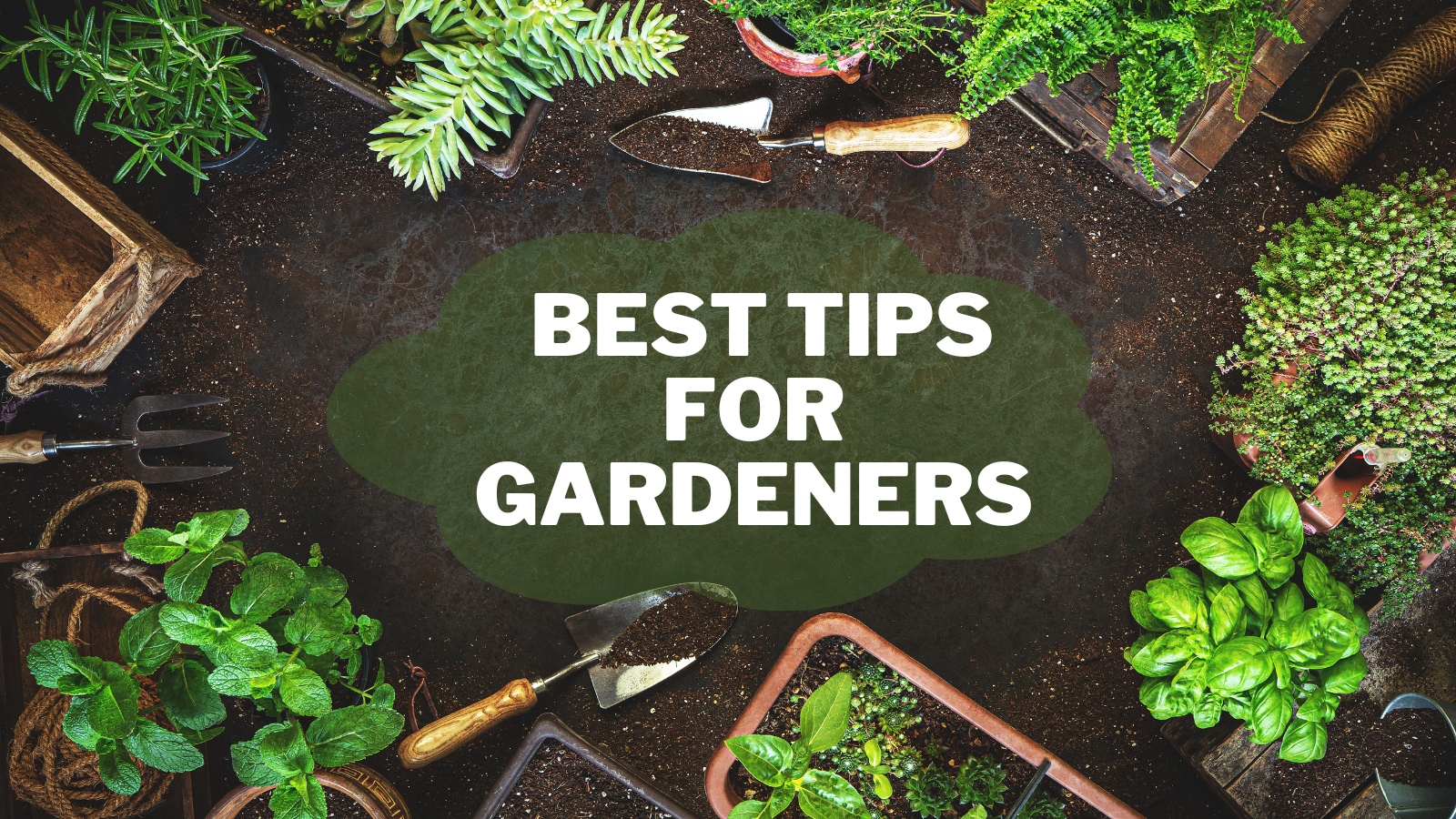 Best Tips For Gardeners