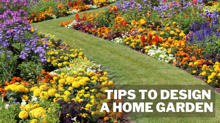 Best Tips To Design A Home Garden