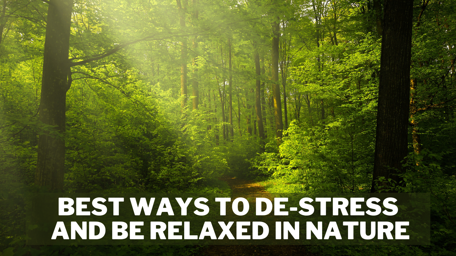 Best Ways To De-Stress And Be Relaxed In Nature