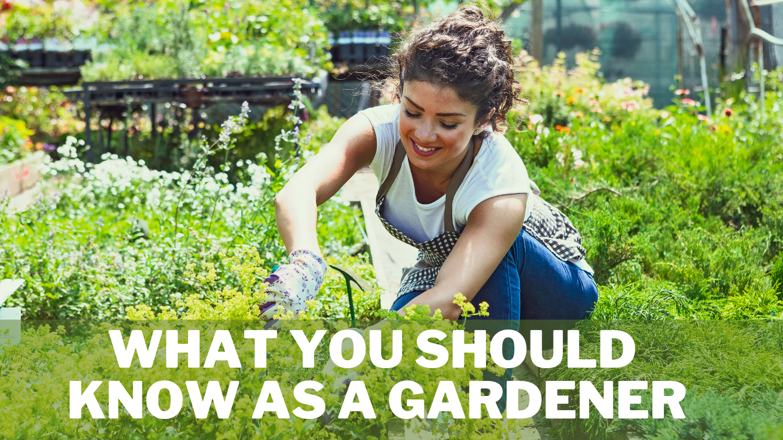 What You Should Know As A Gardener