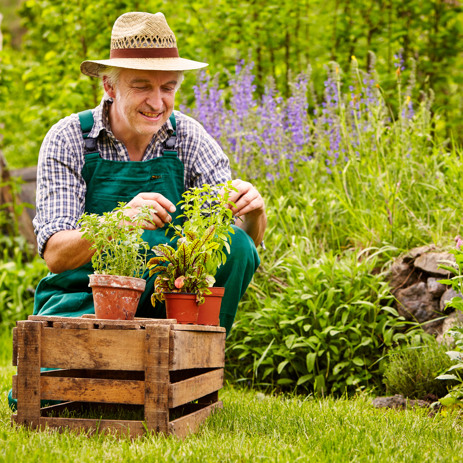 Conclusion To The Best Tips For Gardeners