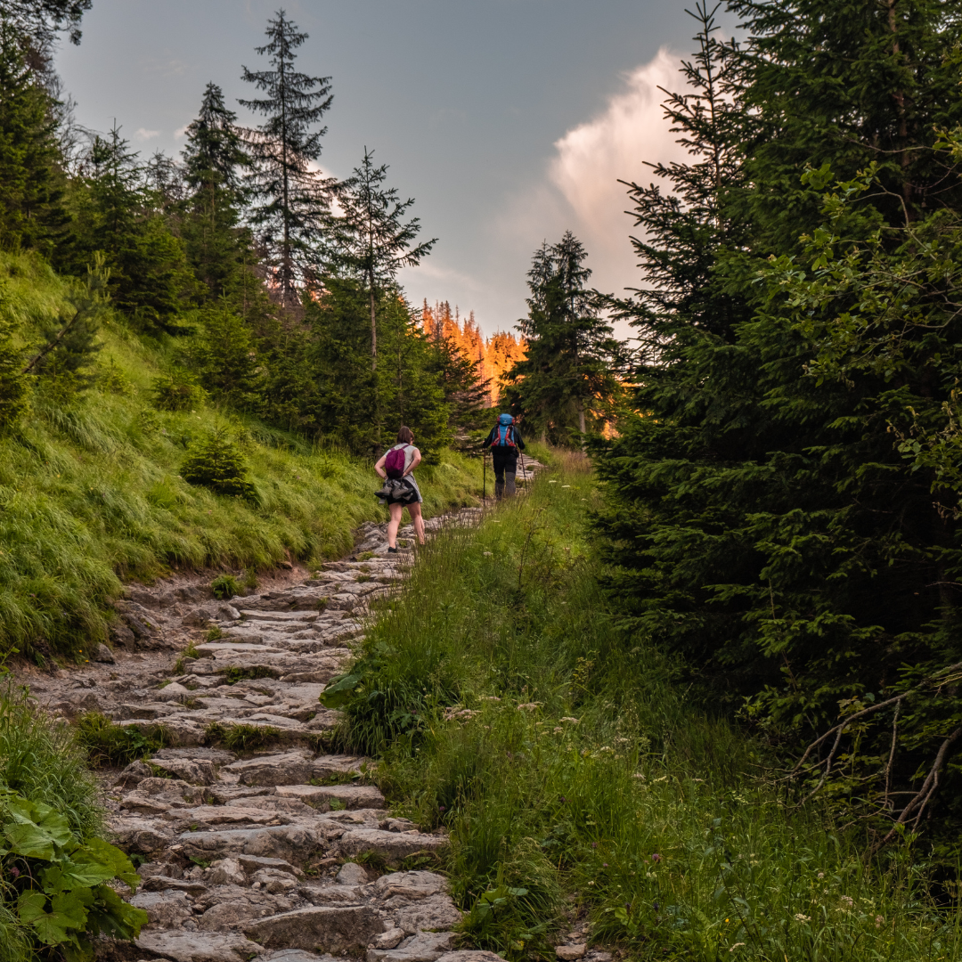 Go To A Park, Garden, Nature Preserve Or Local Trail