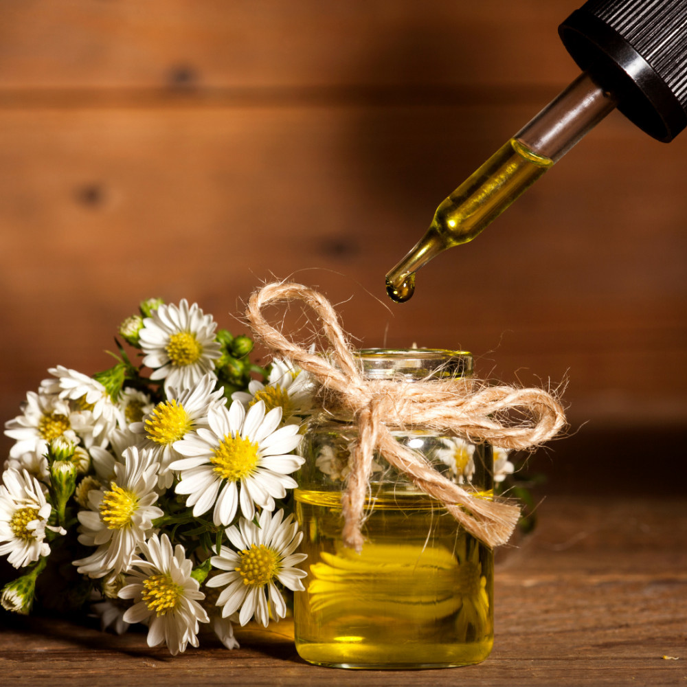 Chamomile Essential Oils For Panic Attacks