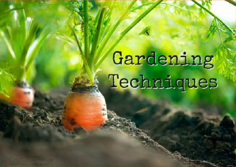 Gardening Basic Techniques