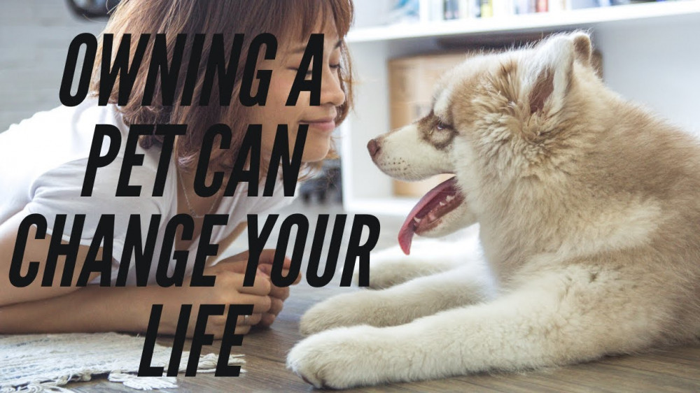 How Having A Pet May Change Your Life For The Better